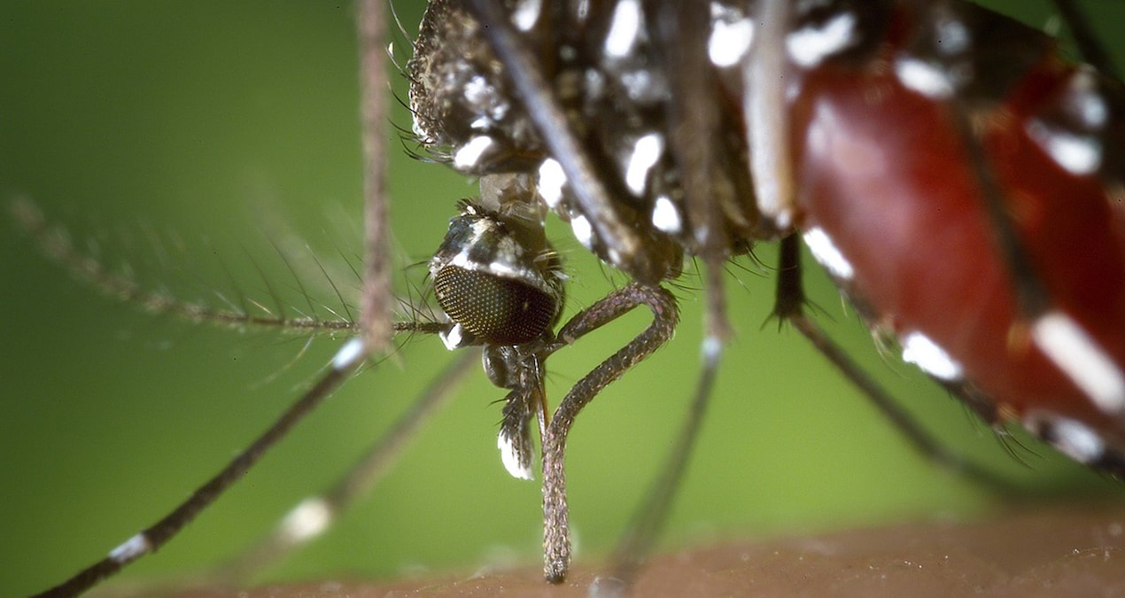 İklim değişti, Avrupa’ya yayılıyor